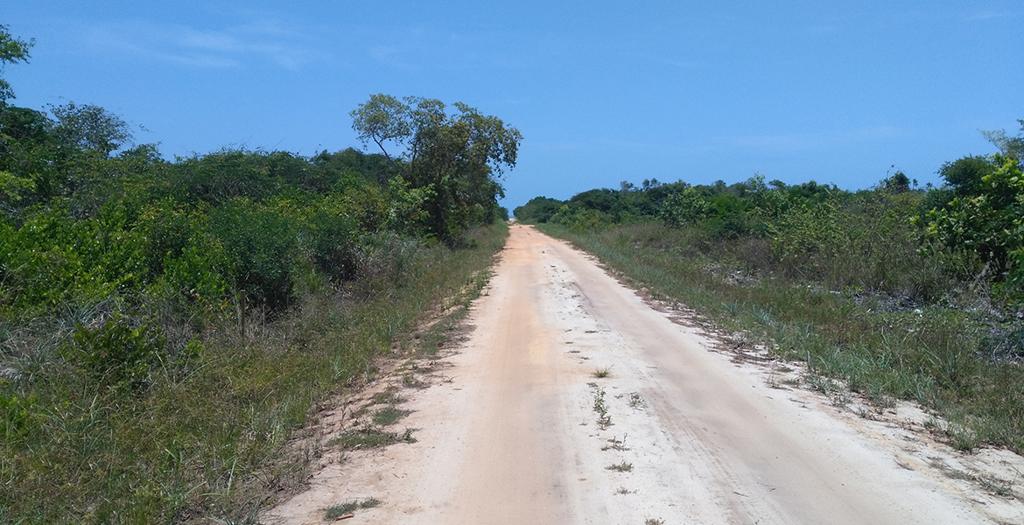 listing image with ID 48276