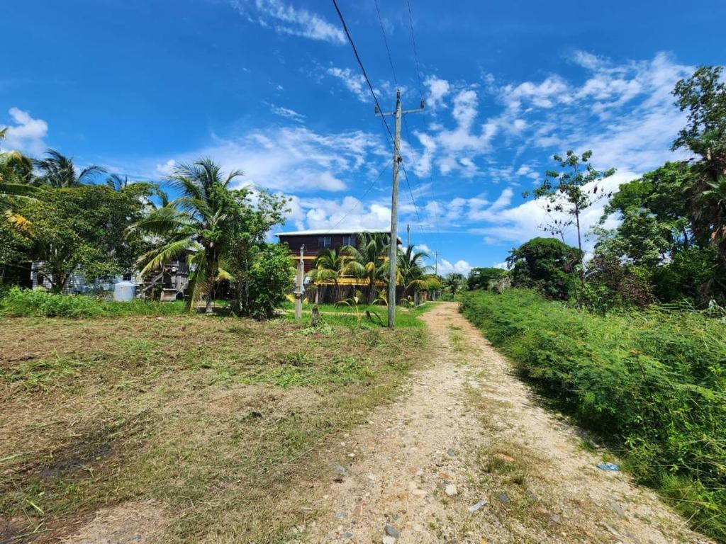 listing image with ID 48097