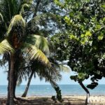 listing image thumbnail with ID 50047