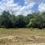 listing image thumbnail with ID 49306