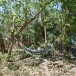 listing image thumbnail with ID 49906