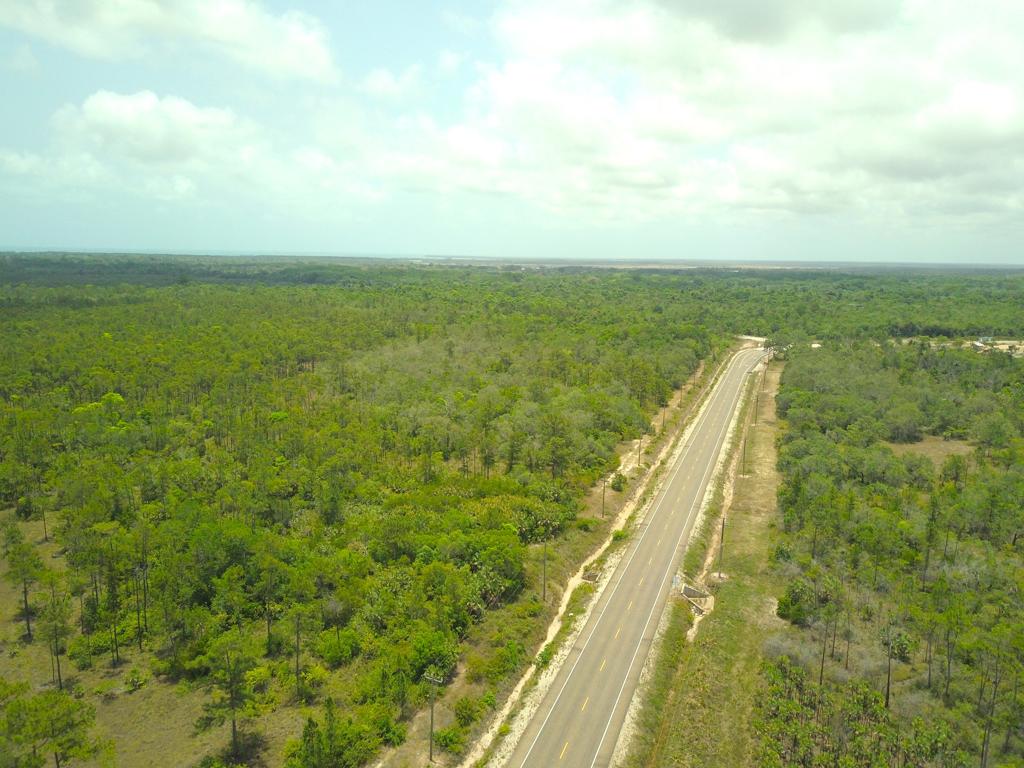 listing image with ID 49409