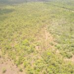 listing image thumbnail with ID 49410