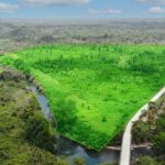 listing image thumbnail with ID 49029