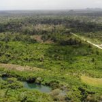 listing image thumbnail with ID 49035