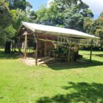 listing image thumbnail with ID 49871