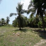 listing image thumbnail with ID 49713