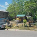 listing image thumbnail with ID 49898