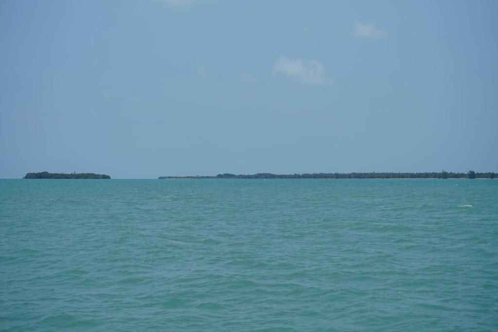 listing image with ID 49715