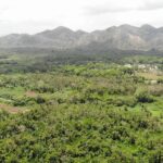 listing image thumbnail with ID 49038