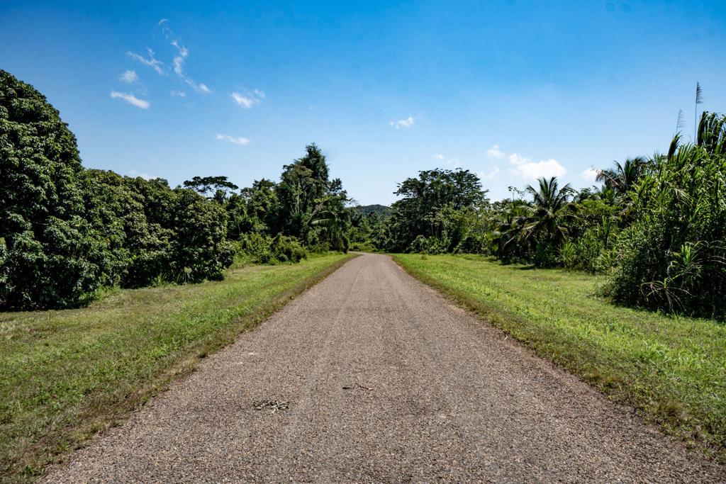 listing image with ID 49525