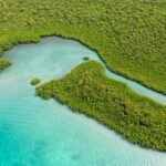 listing image thumbnail with ID 49273