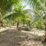 listing image thumbnail with ID 49622