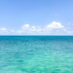 listing image thumbnail with ID 49264