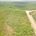 listing image thumbnail with ID 49411