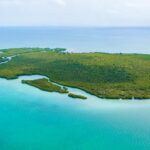 listing image thumbnail with ID 49282