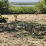 listing image thumbnail with ID 49982