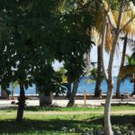 listing image thumbnail with ID 49533