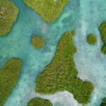 listing image thumbnail with ID 49278