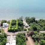 listing image thumbnail with ID 49149