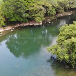 listing image thumbnail with ID 49036