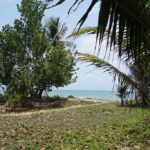 listing image thumbnail with ID 49703