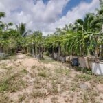 listing image thumbnail with ID 49625