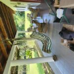 listing image thumbnail with ID 49864