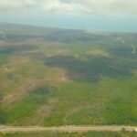 listing image thumbnail with ID 49407