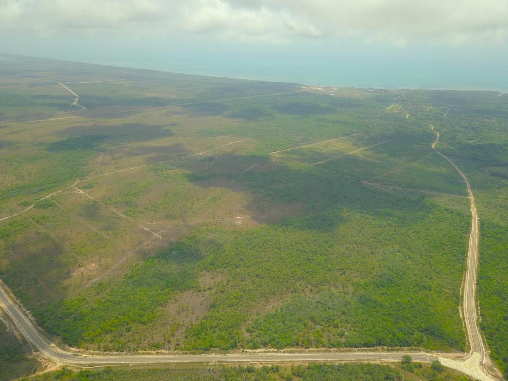 listing image with ID 49407