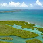 listing image thumbnail with ID 49279