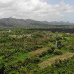 listing image thumbnail with ID 49041