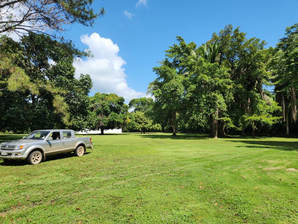 listing image with ID 49872