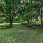 listing image thumbnail with ID 49868