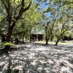 listing image thumbnail with ID 49965