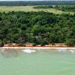 listing image thumbnail with ID 49538