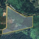 listing image thumbnail with ID 49043