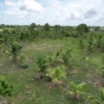 listing image thumbnail with ID 49626