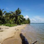 listing image thumbnail with ID 49714