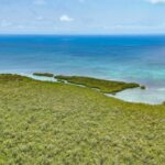 listing image thumbnail with ID 49272