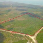 listing image thumbnail with ID 49405