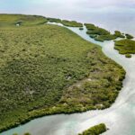 listing image thumbnail with ID 49274