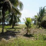 listing image thumbnail with ID 49712