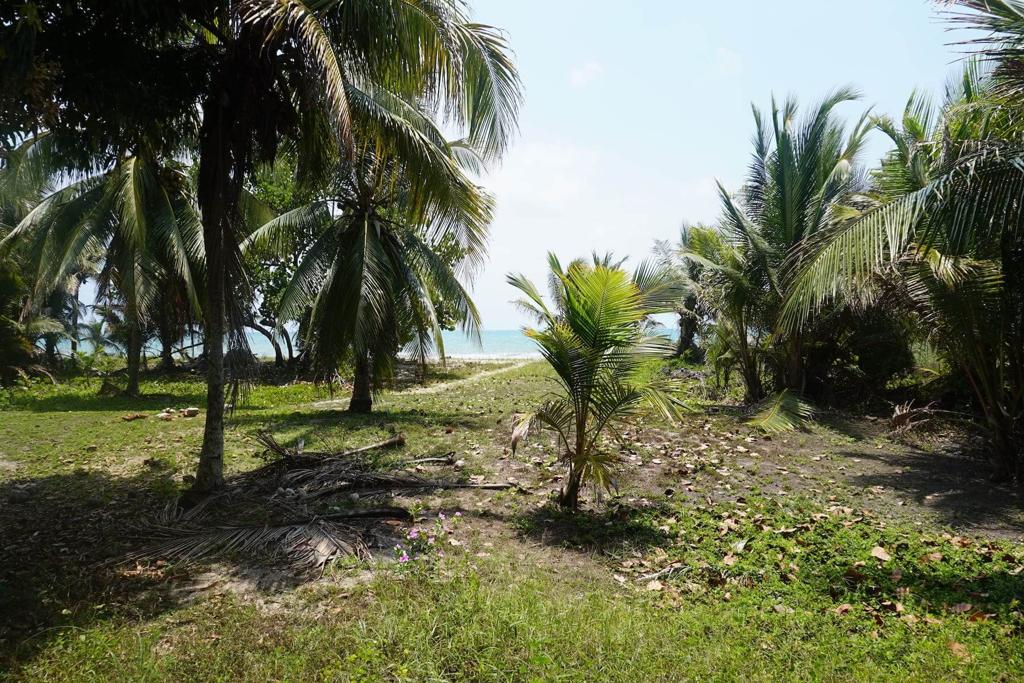 listing image with ID 49712