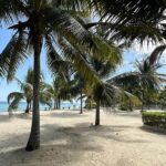 listing image thumbnail with ID 49558