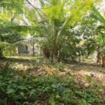 listing image thumbnail with ID 49905