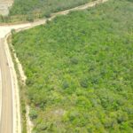 listing image thumbnail with ID 49413