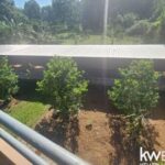 listing image thumbnail with ID 49919