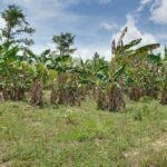 listing image thumbnail with ID 49632