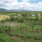 listing image thumbnail with ID 49619